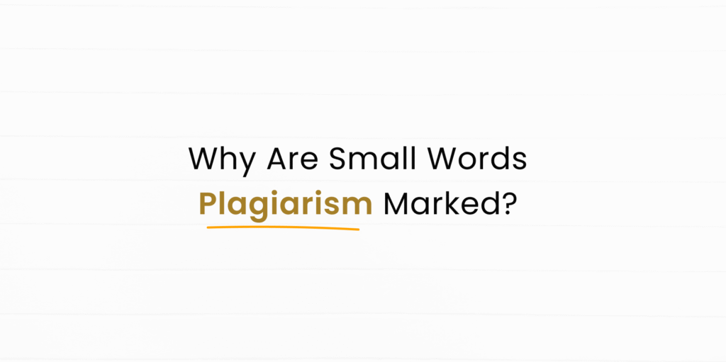 Why did small words in my essay get marked as plagiarism?