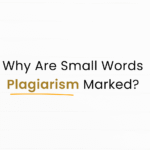 Why did small words in my essay get marked as plagiarism?